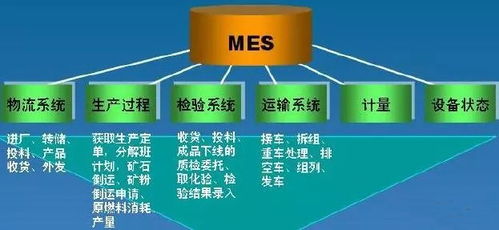 依托資源共享成果 一帶一路沿線企業(yè)工博會上尋軟件開發(fā)機(jī)遇